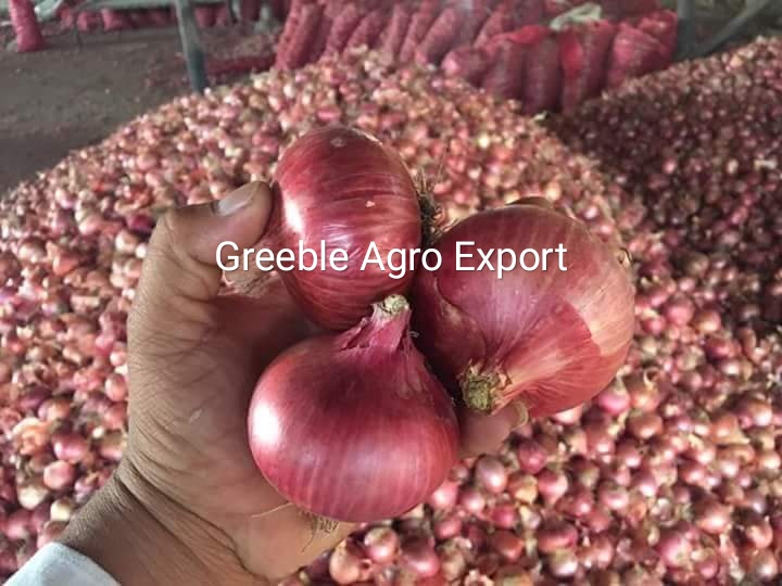 1576577268_Fresh_Big_Size_Export_Quality_Onion.jpg
