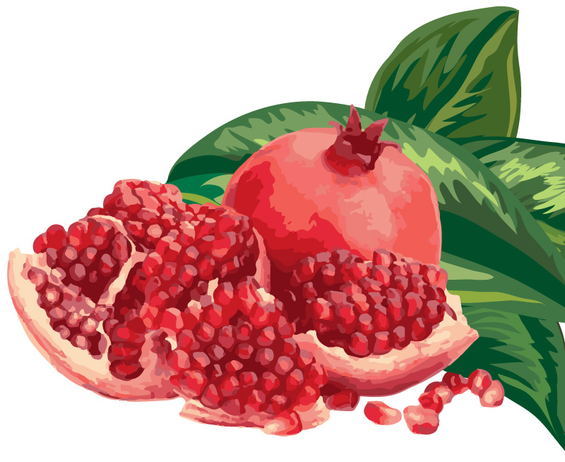 1576577472_Fresh_Export_Quality_Pomegranates.jpg