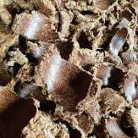 live_1759305065_cottonseed_Oil_cake.jpeg
