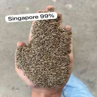 live_1785833634_singapore99.jpeg